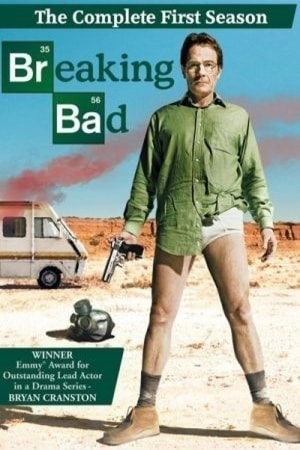 Download Breaking Bad (Season 01) English WEB Series 480p | 720p | 1080p BluRay ESub
