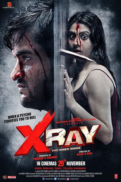 Download X Ray: The Inner Image (2019) Hindi Movie 480p | 720p WEB-DL 300MB | 800MB