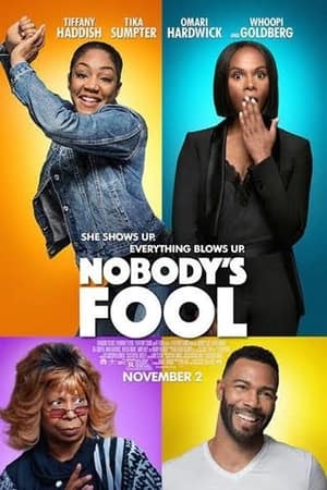 Download Nobody’s Fool (2018) Dual Audio {Hindi-English} Movie 480p | 720p | 1080p BluRay 400MB | 1GB