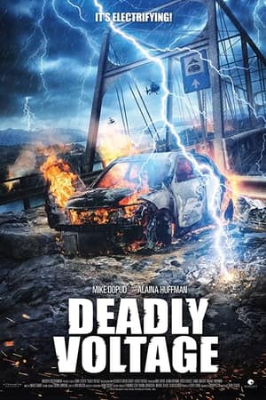 Download Deadly Voltage (2015) UNCUT Dual Audio {Hindi-English} Movie 480p | 720p BluRay 300MB | 700MB