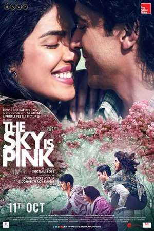 Download The Sky Is Pink (2019) Hindi Movie 480p | 720p WEB-DL 400MB | 1GB