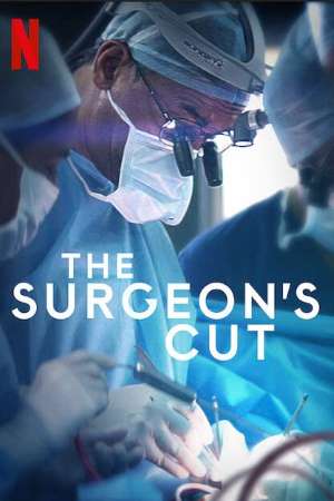 Download The Surgeon’s Cut (2020) S01 Dual Audio {Hindi-English} NetFlix WEB Series 480p | 720p WEB-DL 200MB
