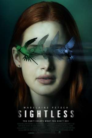 Download Sightless (2020) Dual Audio {Hindi-English} Movie 480p | 720p | 1080p WEB-DL 300MB | 750MB