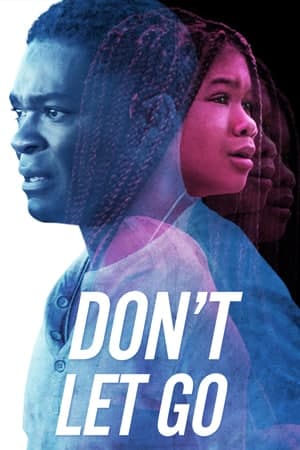 Download Don’t Let Go (2019) Dual Audio {Hindi-English} Movie 480p | 720p | 1080p BluRay