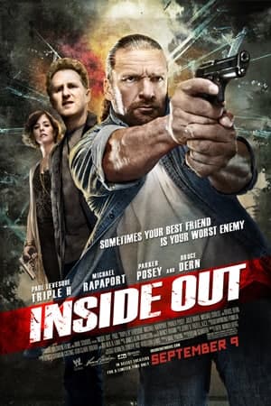 Download Inside Out (2011) Dual Audio {Hindi-English} Movie 480p | 720p BluRay ESub