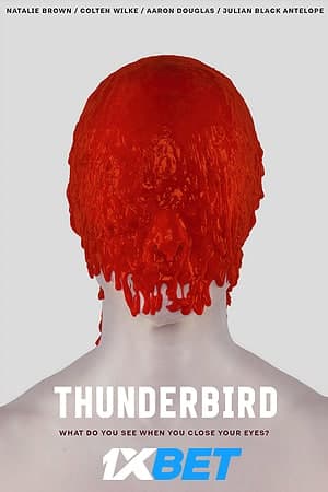 Download Thunderbird (2019) Dual Audio {Hindi (HQ)-English} Movie 720p HDRip 850MB