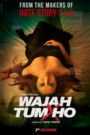 Download Wajah Tum Ho (2016) Hindi Movie 480p | 720p | 1080p WEB-DL ESub