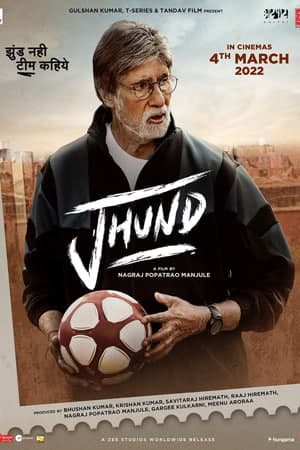 Download Jhund (2022) Hindi Movie 480p | 720p | 1080p WEB-DL ESub