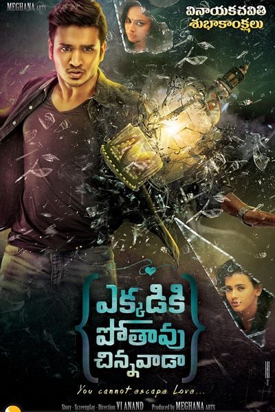 Download Ekkadiki Pothavu Chinnavada (2016) Dual Audio {Hindi-Telugu} Movie 480p | 720p | 1080p WEB-DL ESub