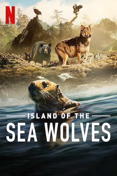Download Island of the Sea Wolves (Season 01) Dual Audio {Hindi-English} NetFlix WEB Series 480p | 720p | 1080p WEB-DL