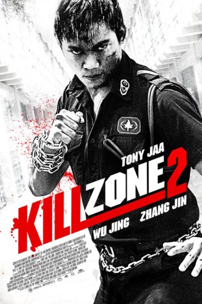 Download Kill Zone 2 (2015) Dual Audio {Hindi-Chinese} Movie 480p | 720p BluRay ESubs
