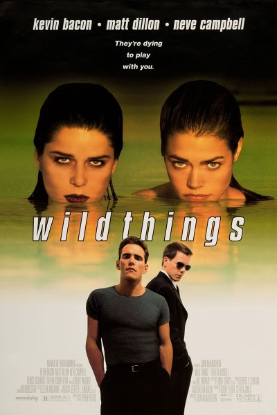 Download Wild Things (1998) Dual Audio {Hindi-English} Movie 480p | 720p | 1080p Bluray ESub